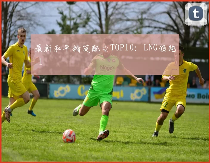 最新和平精英配合TOP10：LNG领跑_1