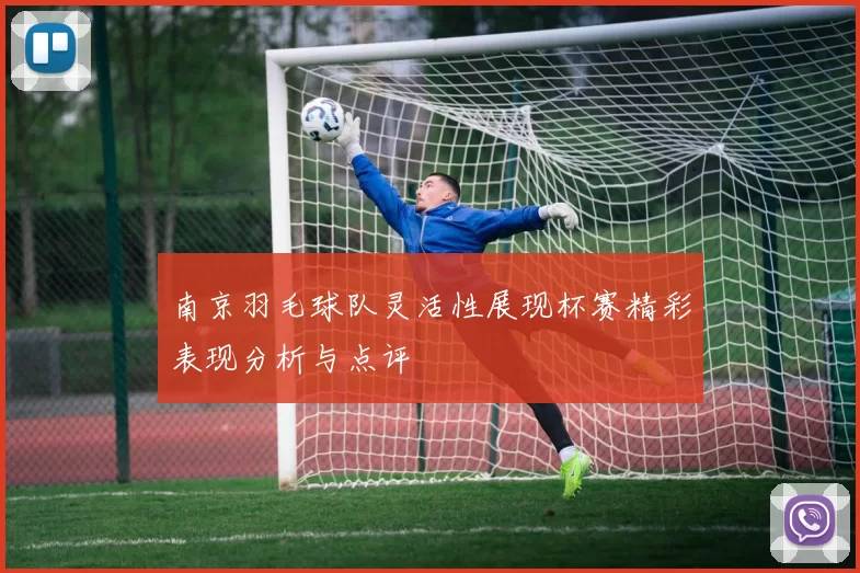 南京羽毛球队灵活性展现杯赛精彩表现分析与点评