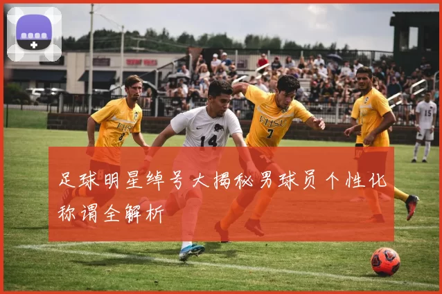 足球明星绰号大揭秘男球员个性化称谓全解析