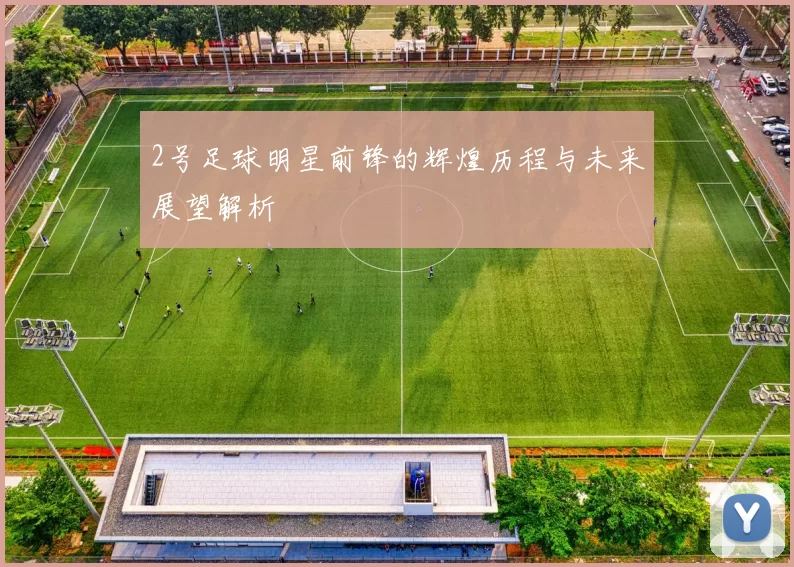 2号足球明星前锋的辉煌历程与未来展望解析